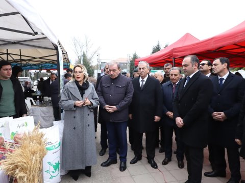 Salyanda Aqrar Biznes Festivalı - FOTO