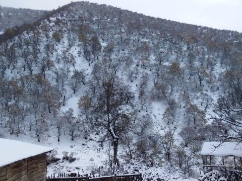 Rayonlara qar yağıb, 11 dərəcə şaxta var - Faktiki hava