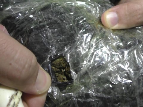 Keçmiş məhkumlar narkotiklə tutuldu