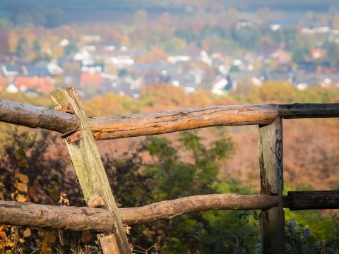 Qanunsuz ayrılmış 8.405 hektar örüş sahəsi bələdiyyələrə qaytarılıb