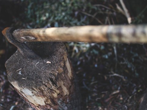 Bir ailənin 5 üzvünün öldürülməsi: Cəmiyyəti narahat edən əsas PROBLEM