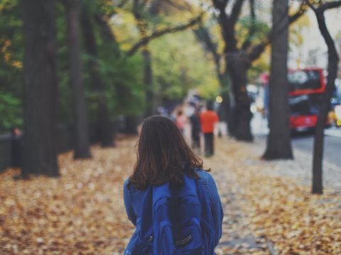 Dövlət Komitəsindən məktəblilərin biabırçı görüntülərinə REAKSİYA