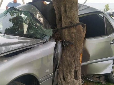 Maşın ağaca çırpıldı - İcra nümayəndəsi öldü