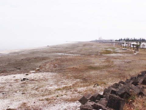 Bulvarla dəniz arasında quru sahə yaranıb, bitkilər əmələ gəlib - FOTO