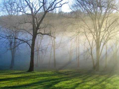 Azərbaycanda təbiət hadisəsi - Boz ay başladı