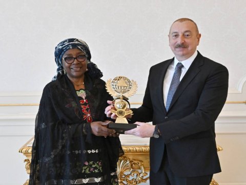 Beynəlxalq Mülki Müdafiə Təşkilatının Baş katibi Prezidenti təbrik etdi