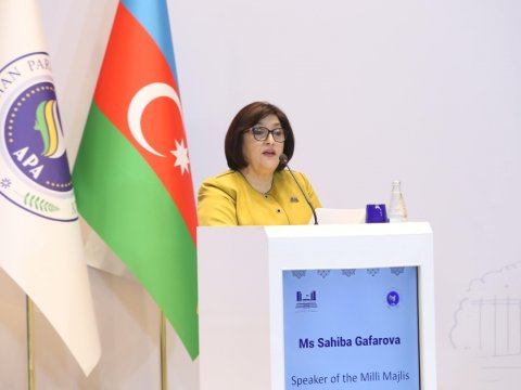 Sahibə Qafarovadan Ermənistana çağırış: Konstitusiyanı dəyişin!