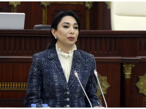 Parlamentdə ombudsmanın 2023-cü il üzrə məruzəsi müzakirə edilir