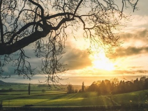 Martın hava proqnozu - Bakıda 20, bölgələrdə 24 dərəcə isti olacaq