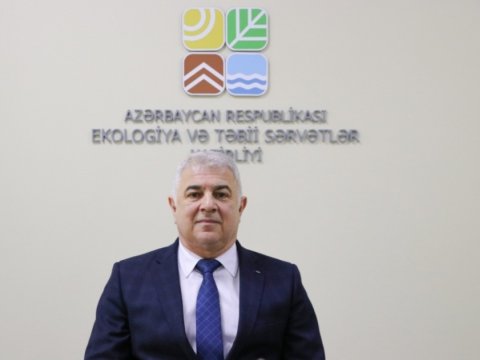 COP29-un nəticələri ölkəmiz üçün müsbət olacaq - Nazir müavini