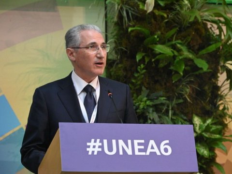COP29 prezidenti Ətraf Mühit Assambleyasının 6-cı sessiyasında