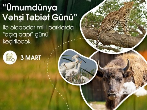 3 mart “Ümumdünya Vəhşi Təbiət Günü”dür