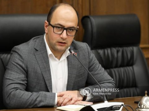 Rusların aeroportdan çıxarılması çirkin manipulyasiyadır - Mamicanyan