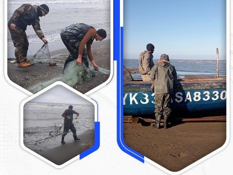 Qanunsuz balıq ovlayan şəxslər saxlanıldı