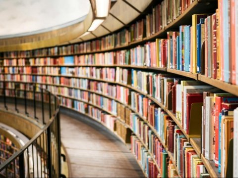 Təhsil insan ömrünü uzadır - ARAŞDIRMA