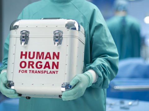 Meyit donordan orqan götürülməsi mümkün olacaq? - VİDEO