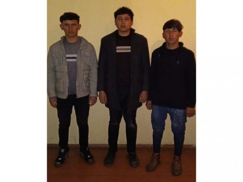 Sərhədi pozan Əfqanıstan vətəndaşları SAXLANILDI