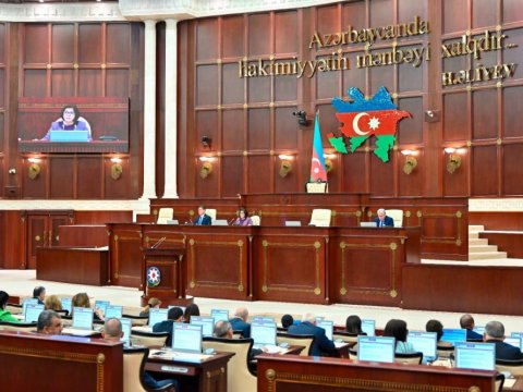 Deputat Prezidenti hədəf seçənləri cəzalandırmağa ÇAĞIRDI