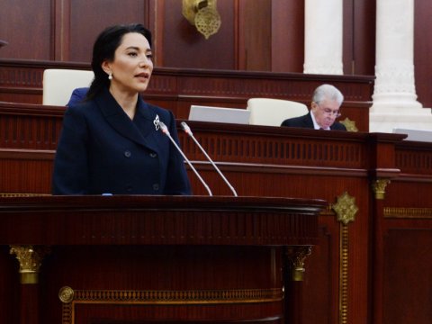 Ombudsman parlamentdə sənədsiz evlərlə bağlı məsələ qaldırıldı