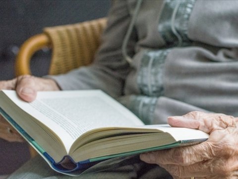 Təhsilli insanlar daha yavaş qocalırlar - Tədqiqatçılar