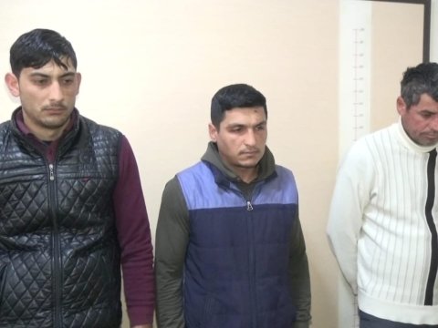 Bərdədə mal-qara oğurlayan dəstə ələ keçdi