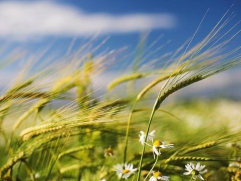 Bu gün Yel çərşənbəsidir