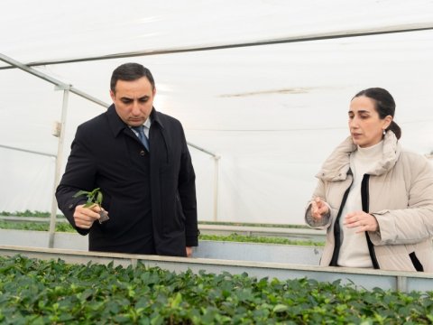 Nazir müavini Qubada təsərrüfatlara baxış keçirib - FOTO