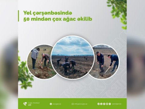 Yel çərşənbəsində 50 mindən çox ağac əkilib