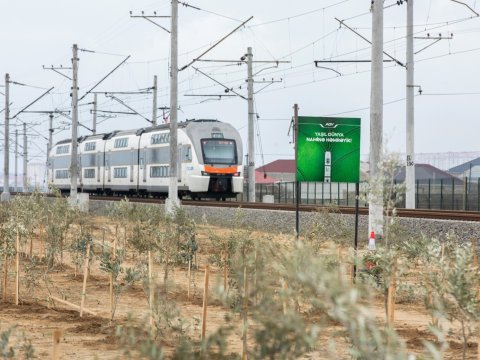 “Yaşıl dünya naminə həmrəylik ili” çərçivəsində ağacəkmə aksiyası - FOTO