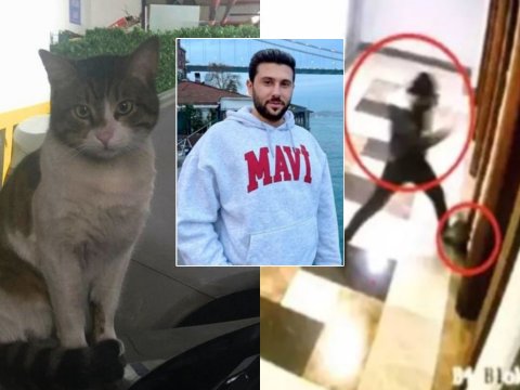 Pişiyi təpikləyib öldürən şəxs yenidən MƏHKƏMƏ QARŞISINDA