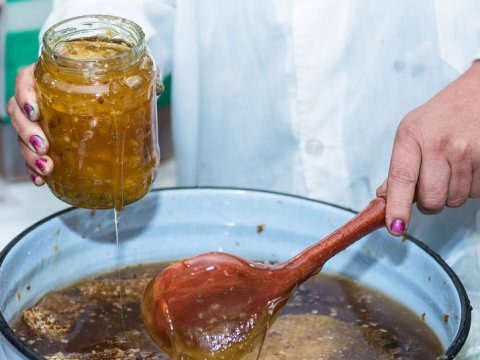 Azərbaycanda bal istehsalı azalıb, qiymətlər isə...