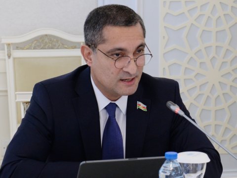 Narkoloji müəssisələrə nəzarətin gücləndirilməsi vacibdir - Deputat