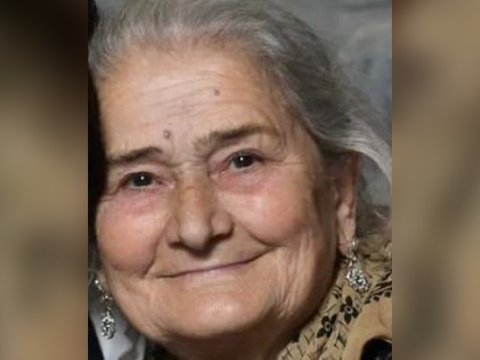 Bakıya qızıgilə qonaq gələn ana itkin düşdü - FOTO