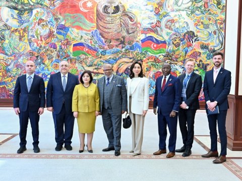 Sahibə Qafarova BMT rəsmisini qəbul edib