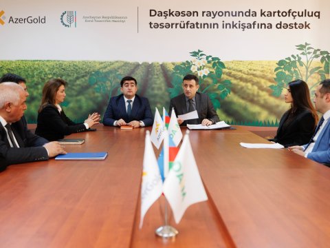 Daşkəsəndə kartofçuluq təsərrüfatının inkişafına dəstək layihəsinin icrasına başlanıldı