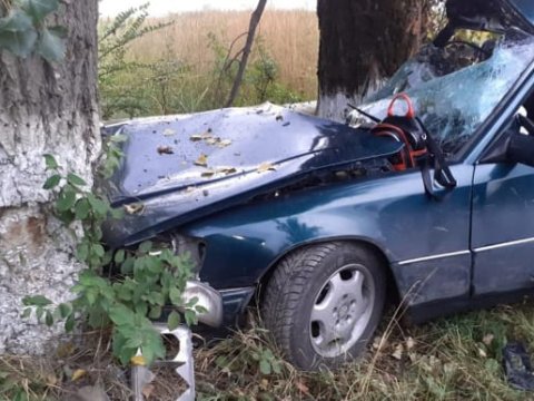Maşın ağaca çırpıldı - Qardaşlar yaralandı
