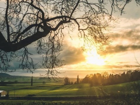 Bayram günlərində regionlarda hava necə olacaq? - PROQNOZ