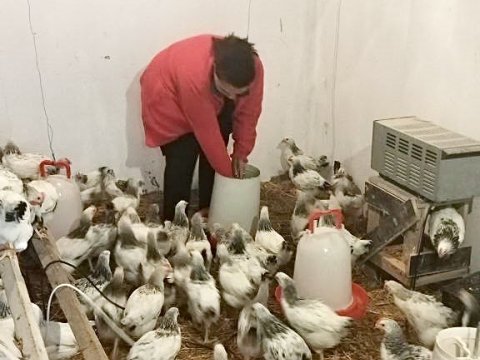 Zəngilanda qadın fermerlərə dəstək - FOTO