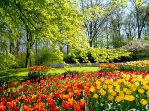 Ölkəmizə yaz gəldi...