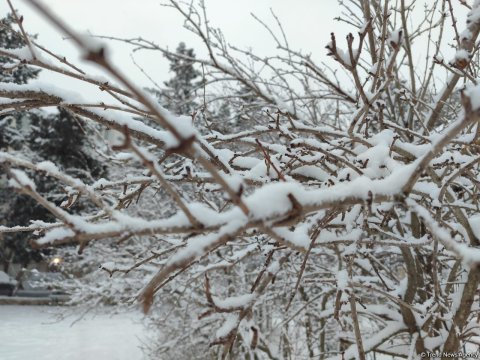 Bu rayonlara qar yağdı - Faktiki hava