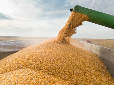 Beş ölkə Avropa İttifaqını Rusiya taxılından imtina etməyə çağırdı