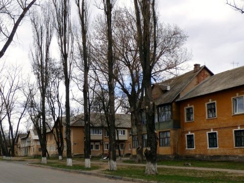 Ruslar Zaporojyenin kəndini ələ keçirdi