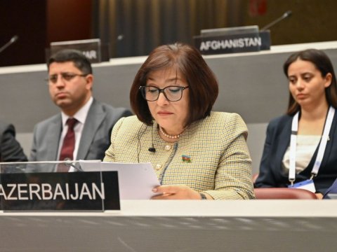 Sahibə Qafarova Azərbaycanın COP-29-a ev sahibliyindən DANIŞDI