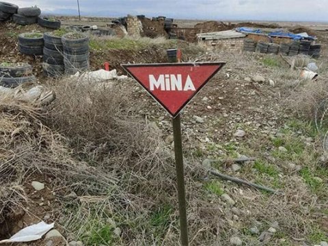 1 həftədə 53 mina zərərsizləşdirildi