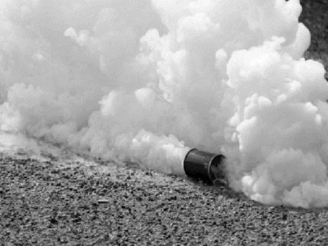 Gürcüstan məktəblərində həyəcan: şagirdlər təxliyə olundu 