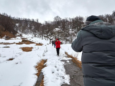Bayram günlərində milli parkları ziyarət edən turistlərin sayı - FOTO