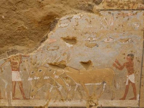 4800 il əvvələ aid sərdabə tapıldı