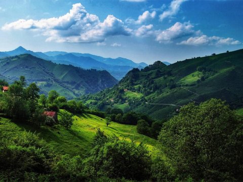 Ən çox qəsəbə və kəndləri olan RAYONLARIMIZ