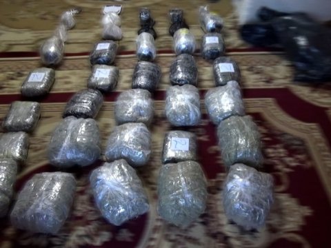 Polis iki rayonda əməliyyat keçirib - VİDEO