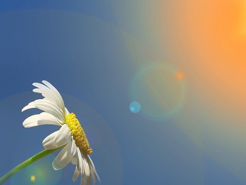 24 dərəcə isti olacaq - SABAHIN HAVASI